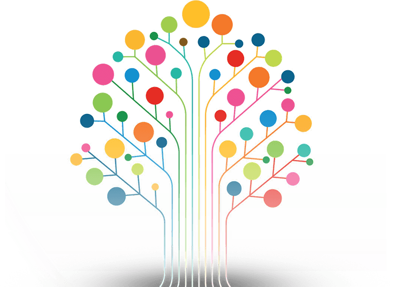 20 Maggio Biblioteca